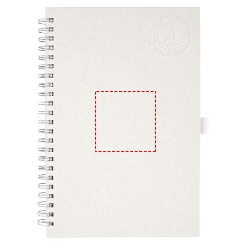 Vorderseite (5,5 x 5,5 cm)