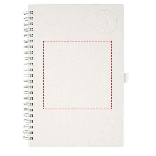 Vorderseite (10 x 14 cm)