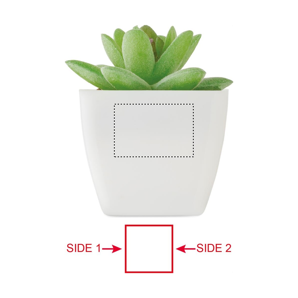 Seite 1 (20 x 30 mm)