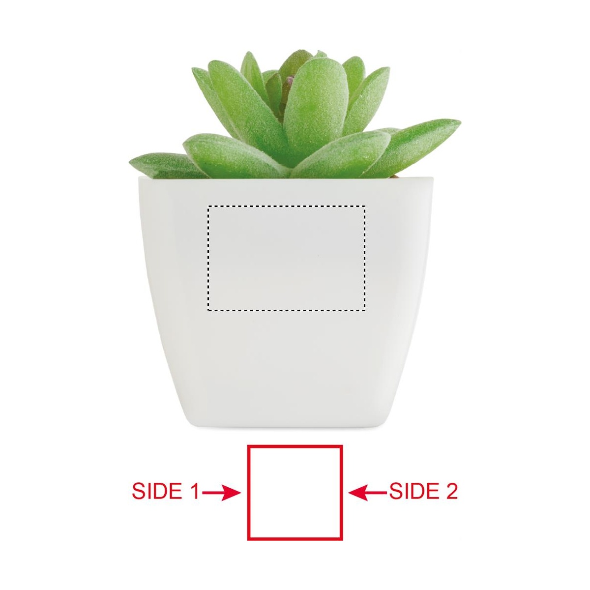 Seite 2 (20 x 30 mm)