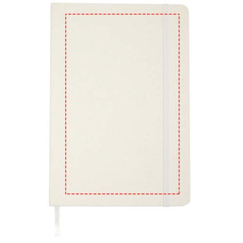 Vorderseite (12 x 19 cm )