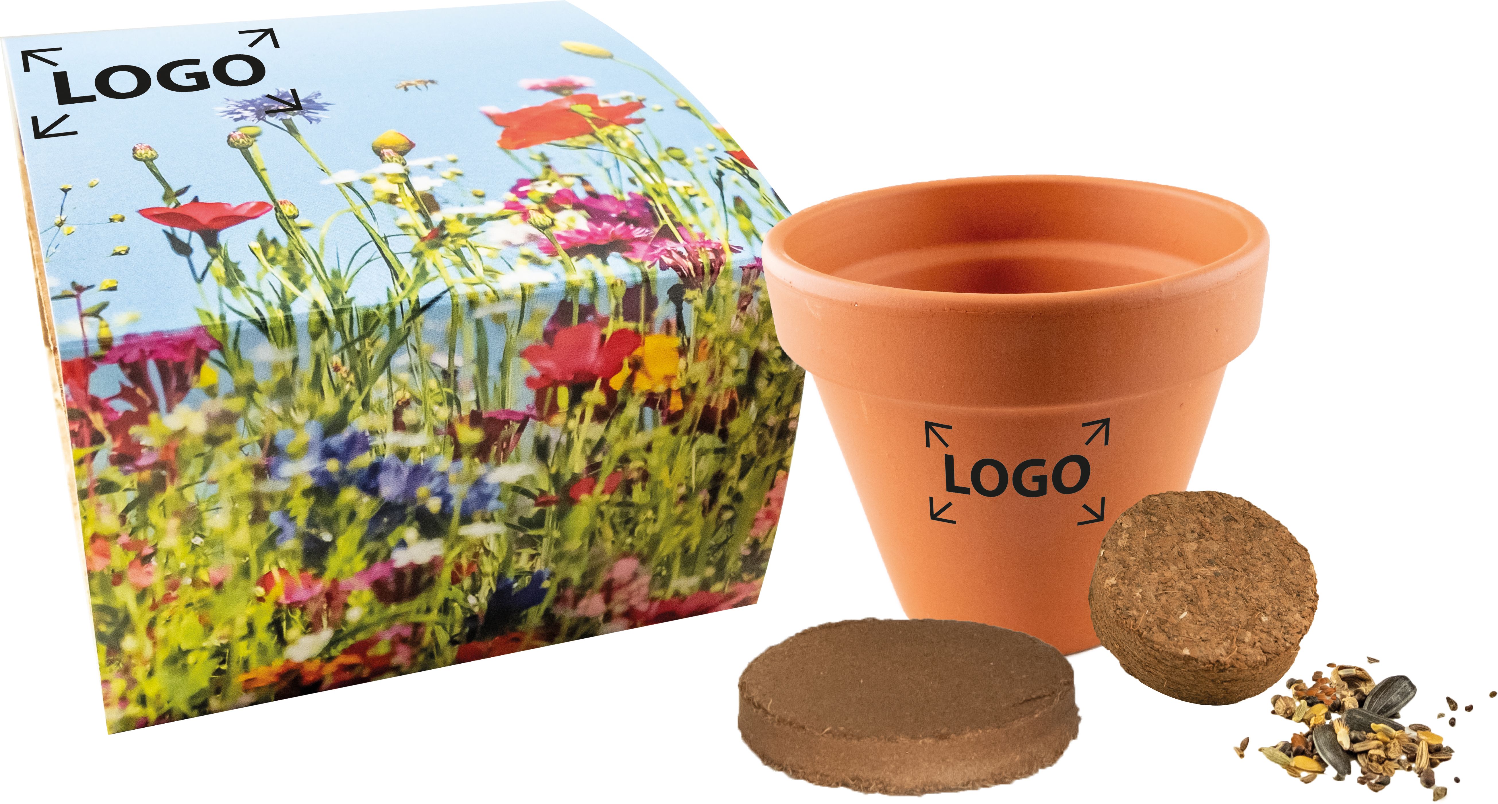 auf die Banderole (10,0 x 39,0 cm)