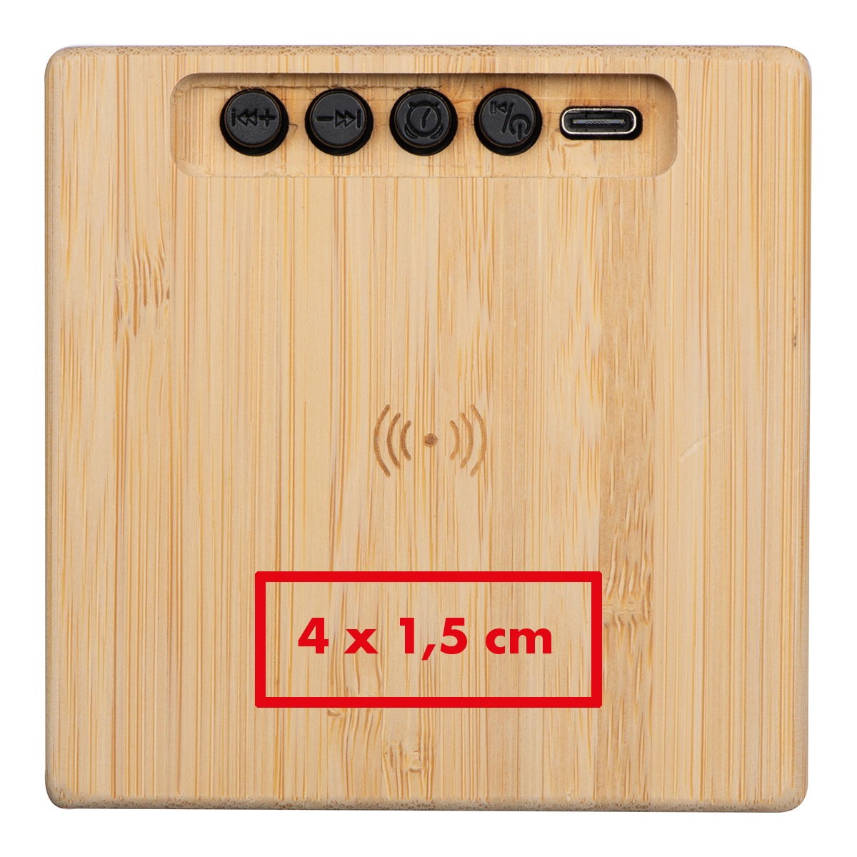 Rückseite (4 x 1,5 cm)