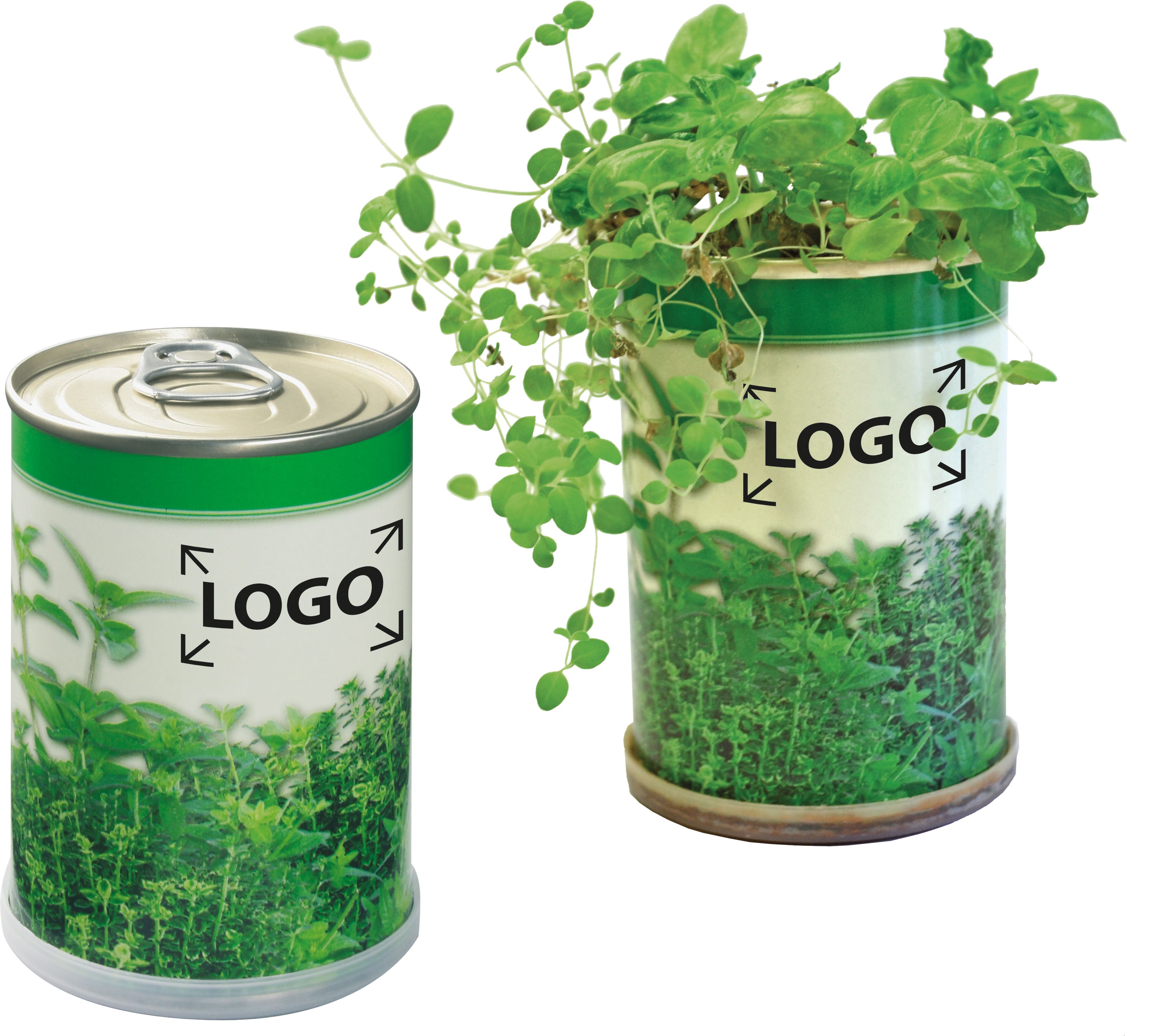 auf die Dose (2,5 x 3,0 cm)