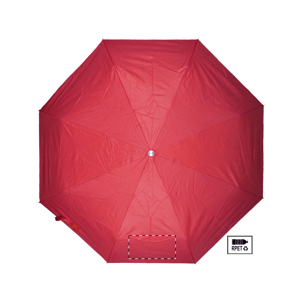 Segment 2 (200 x 100 mm)