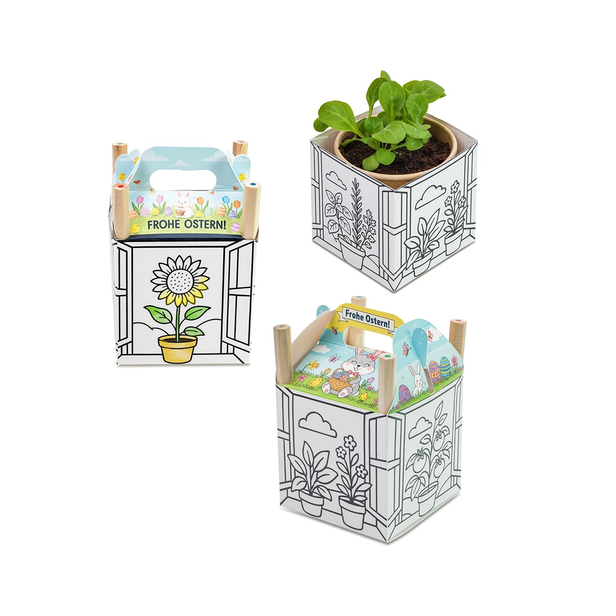 Verpackung (1 x 1 cm)