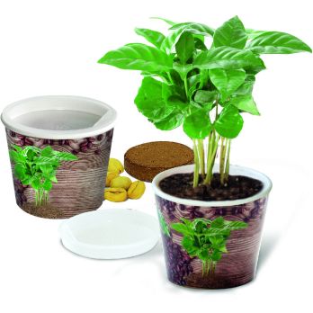 Coffee 2Grow