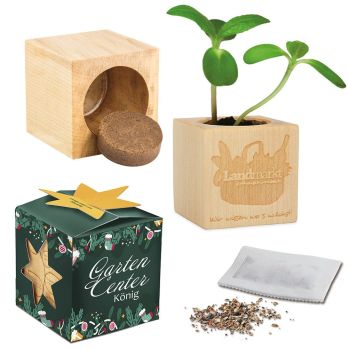 Pflanz-Holz Maxi Star-Box mit Samen