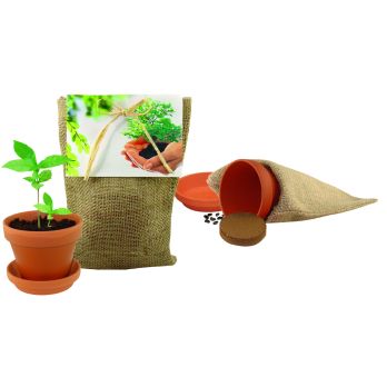 Pflanze Deinen Baum Natur-Säckchen