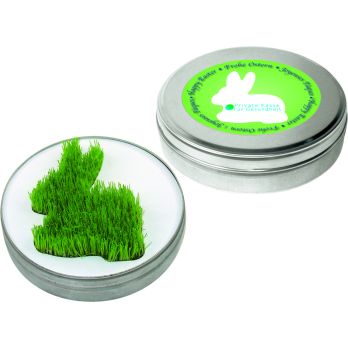 Wachsender Hase aus der Dose