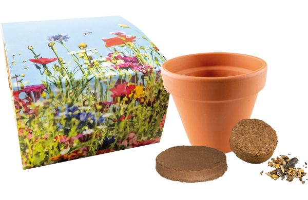 Bienen-Festmahl, Bienenwiesen-Mischung