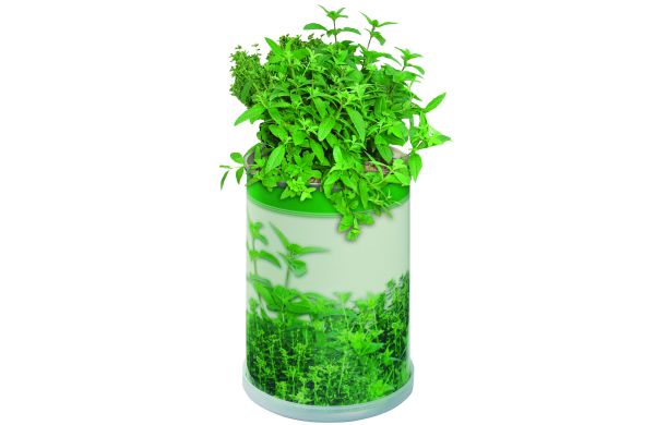 Blumendose Power Durchmesser  65 x 90 mm, Kräutermischung