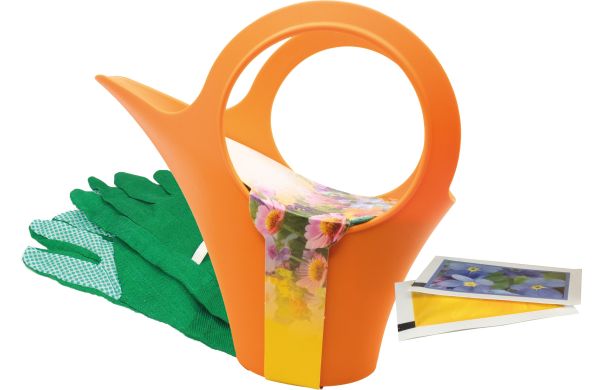 Camilla XS - Gartenfreude, Zwergsonnenblume, Vergissmeinnicht