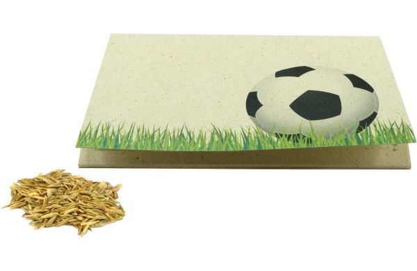 Graspapier-Kärtchen Sportplatz