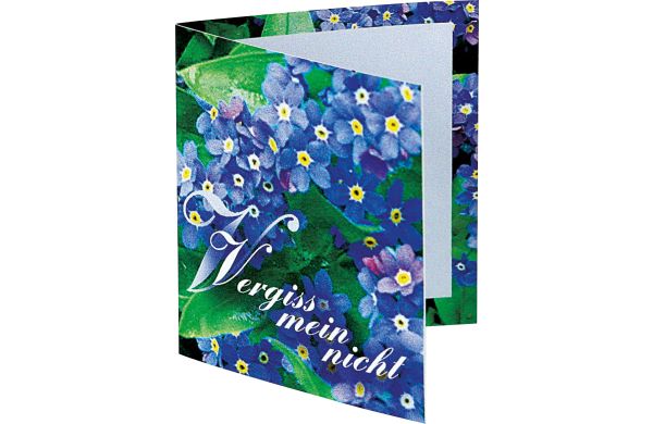 Klappkärtchen Vergiss-mein-nicht, Vergissmeinnicht