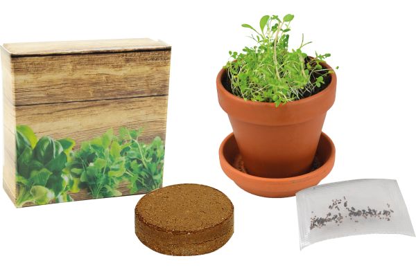 Kräuter-Präsent XS, Kräutermischung