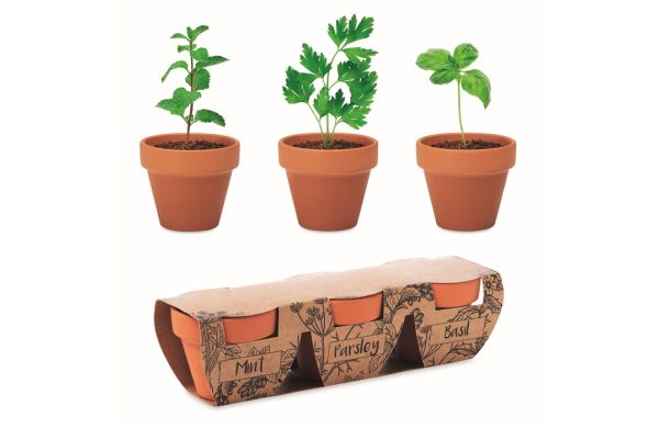 FLOWERPOT Terracotta-Set Kräuter - gemischt