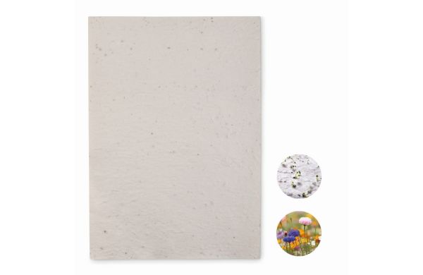 ASIDI DIN A4 Wildblumen-Samenpapier - weiß