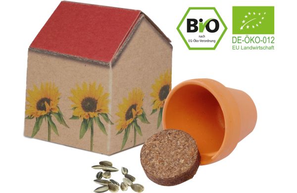 Natur-Häuschen Sonne, Tontöpfchen,  Bio Sonnenblume