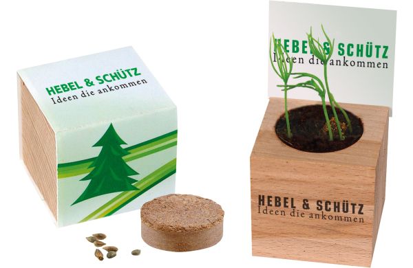 Natur-Würfel Fichte, Fichte 