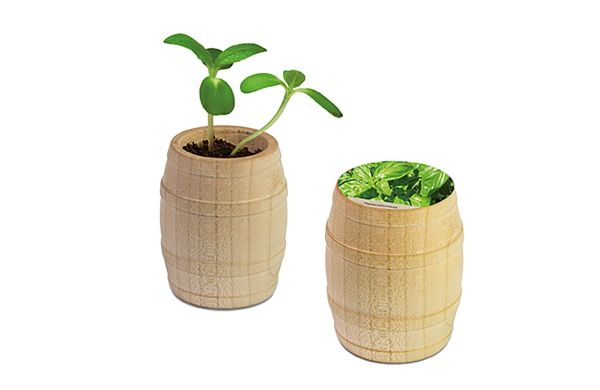 Pflanz-Fässchen mit Samen