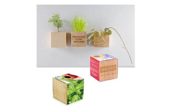 Pflanz-Holz Magnet mit Samen