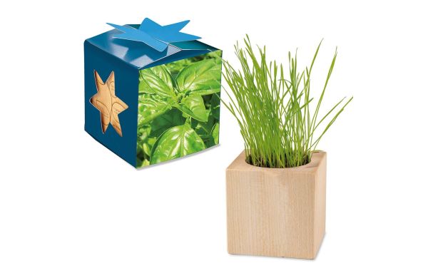 Pflanz-Holz Maxi Star-Box mit Samen, 1 Seite gelasert