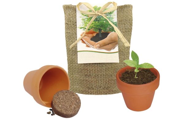 Pflanze Deinen Baum kleines Natur-Säckchen, Robinie