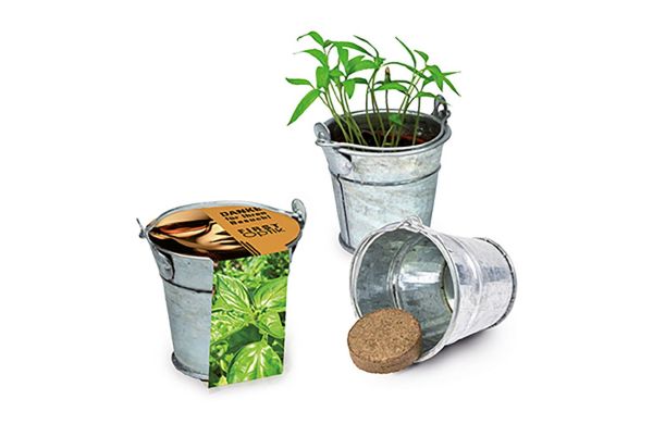 Pflanzeimerchen mit Samen