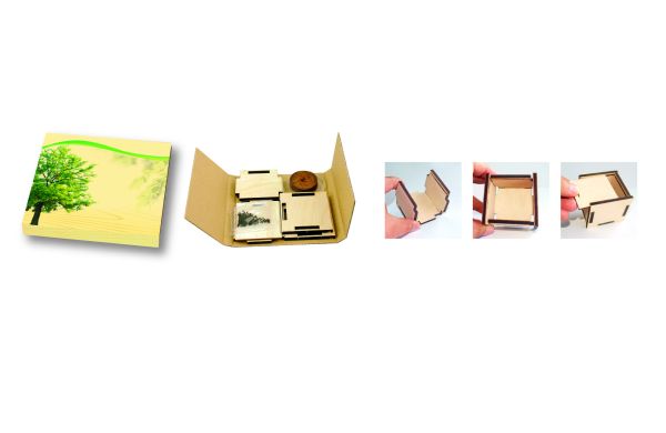 Pflanzsteckbox Natur, Robinie