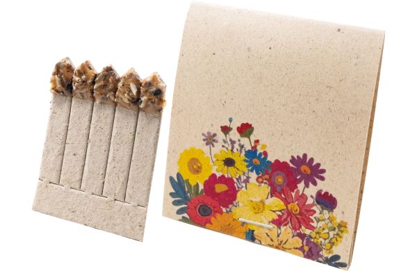 Pflanzsticks Blumenfreude, bunte Blumenmischung