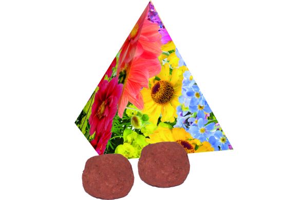 Pyramide Spitzenwachstum, bunte Blumenmischung