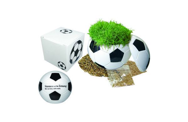 Rasender Fußball in Präsentpackung, Zimmerrasen