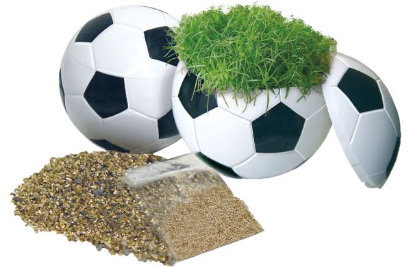Rasender Fußball, Zimmerrasen
