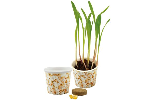 Snack 2Grow Popcorn, Popcorn-Mais