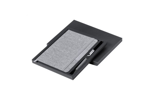 Spinosa Notizbuch-Set, grau