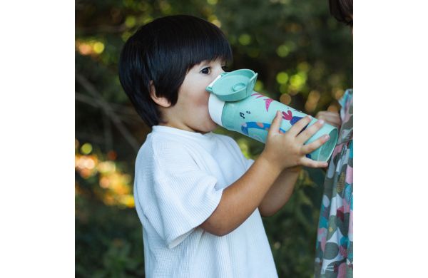 STAN 0,5 REX Trinkflasche 500ml