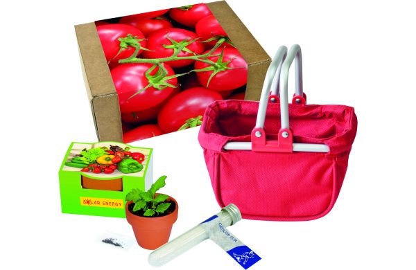 Utensilo Naschgemüse, Tomate