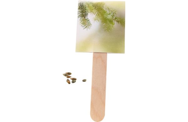 Wachsender Weihnachtsgruß