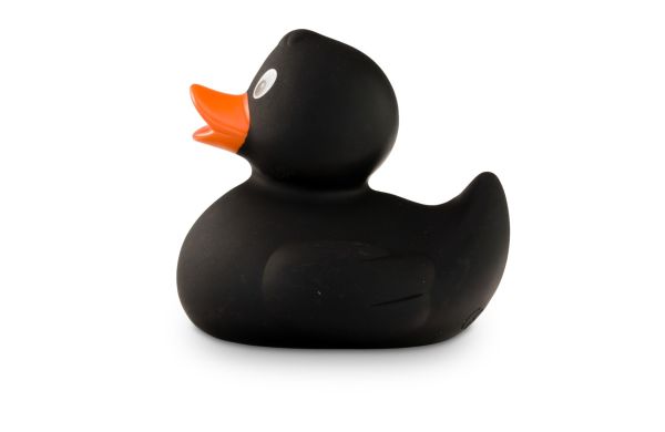 Werbeente Blacky