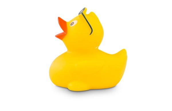 Werbeente Willi Wellenreiter