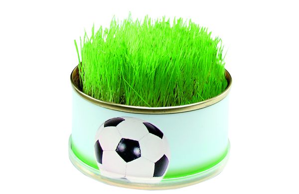 Zimmerarena Mini Garten Fußball, Durchmesser  73 x 38 mm