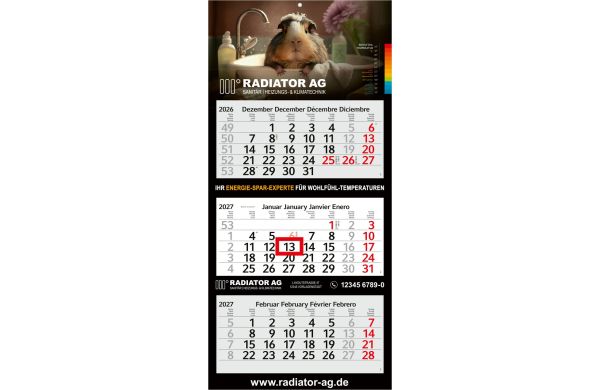 3-Monatskalender Mehrblock Profil 3 Schrift leicht