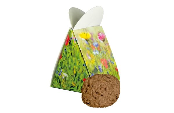 Blumige Überraschung, bunte Blumenmischung