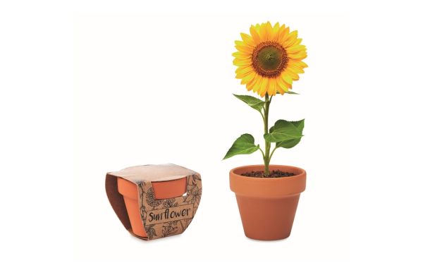 SUNFLOWER Terracotta-Topf Sonnenblume - holzfarben