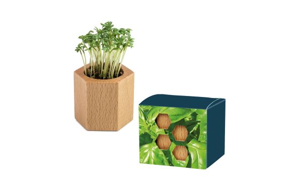 Pflanz-Holz Hexagon mit Samen
