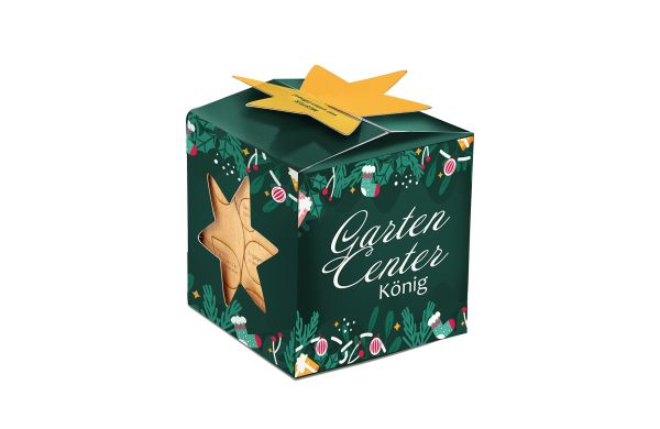 Pflanz-Holz Maxi Star-Box Xmas mit Fichtensamen