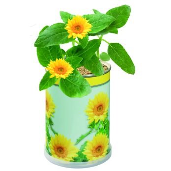 Blumendose Sonne 