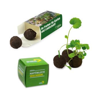 Flower-Balls 2er Box mit Samen
