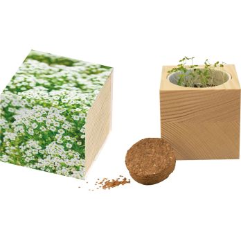 Großer Natur-Würfel Schneeteppich